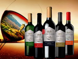 西班牙頂級(jí)葡萄酒品牌將亮相三亞海天盛筵飲料展